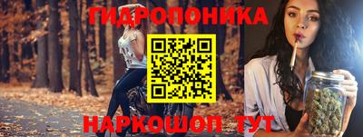 СК Будённовск