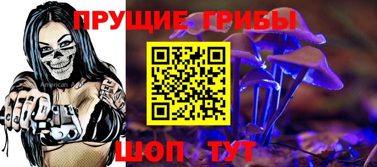 Псилоцибиновые грибы прущие грибы  Псилоцибиновые грибы мицелий  Самара  Вход с VPN 